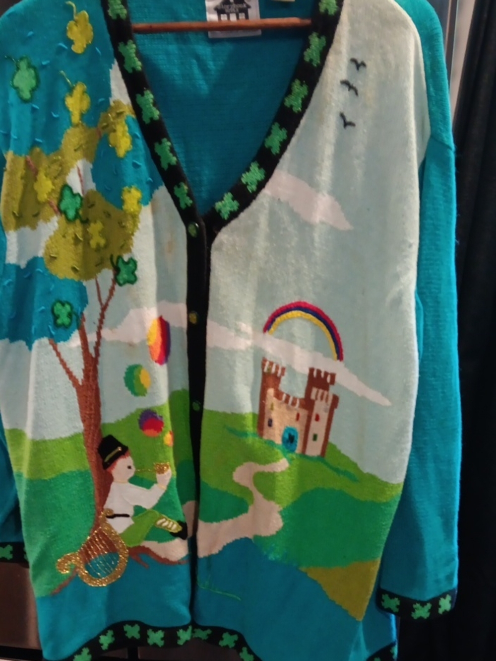 Storybook Knits Teal Blue Multicolor Embroidered Novelty Cardigan